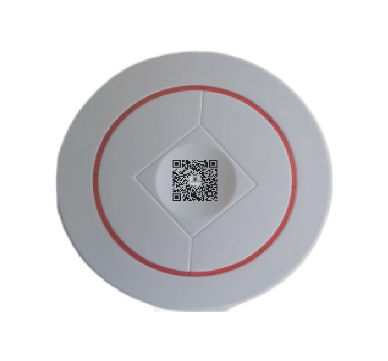 BG01 2.4G  Active Gateway